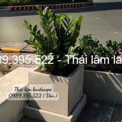 chậu xi măng vuông r30 x h30 ( cm )