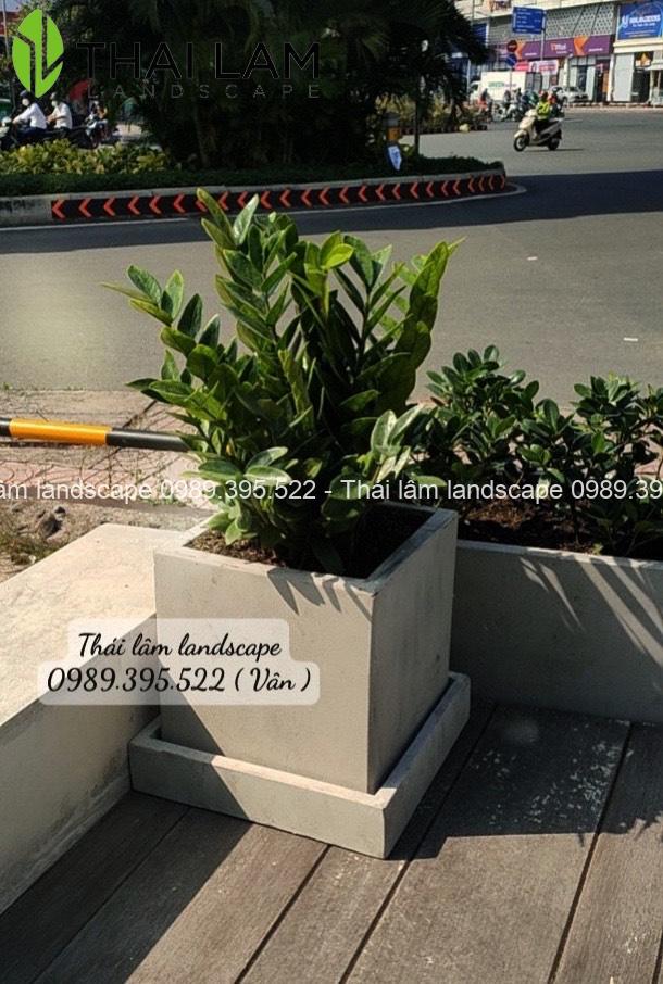 chậu xi măng vuông r30 x h30 ( cm ) chậu xi măng vuông r30 x h30 ( cm )