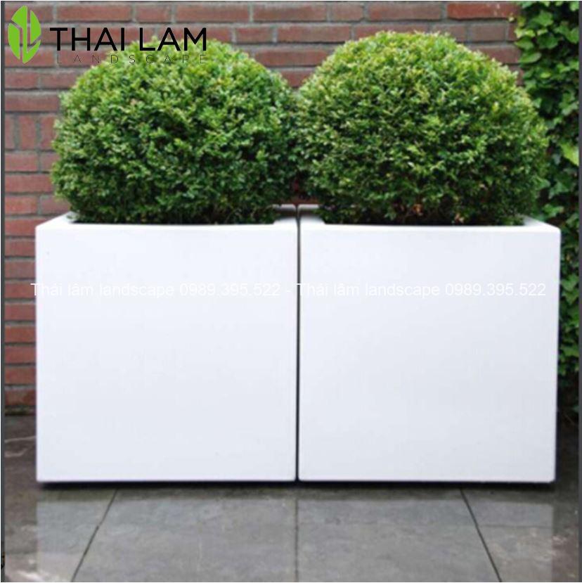 chau-composite-vuong chau-composite-vuong