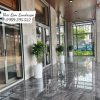 Cây hạnh phúc + chậu sứ trắng có dĩa lót