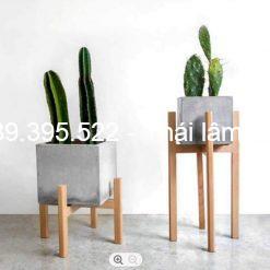 Chậu cây xi măng hình vuông