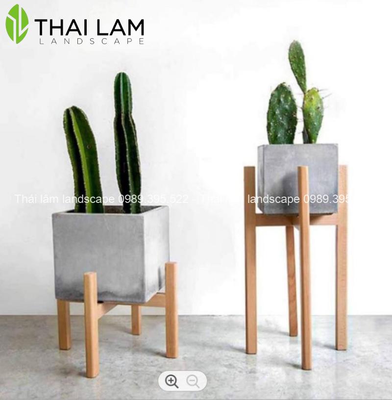Chau-cay-xi-mang-4 Chậu cây xi măng hình vuông