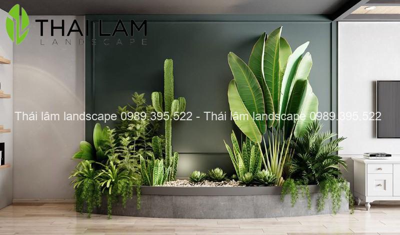 Thái Lâm Landscape chuyên cung cấp cây xanh nội thất