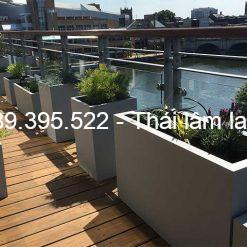 mẫu chậu trồng cây ban công